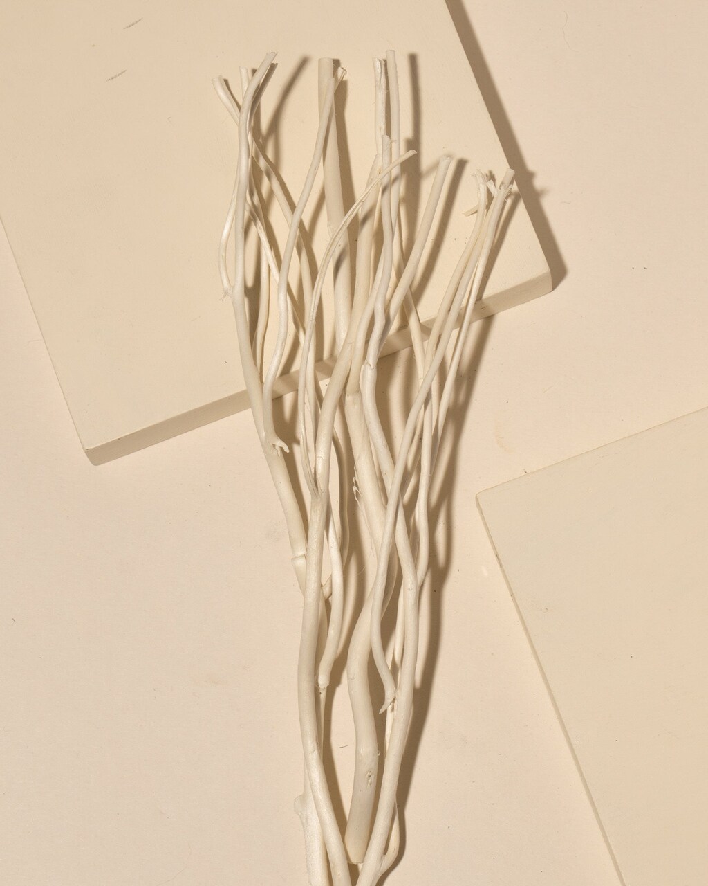 Natural Willow Diffuser Reeds, Set of 50 | Diffuser Supplies